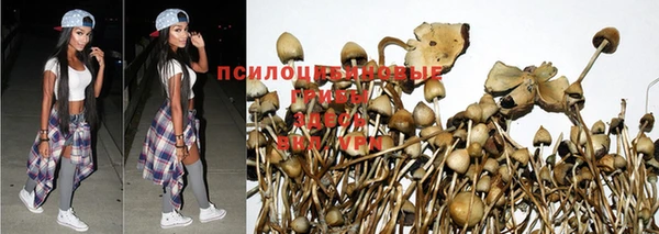 трава Архангельск