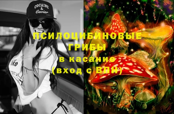 метадон Краснослободск