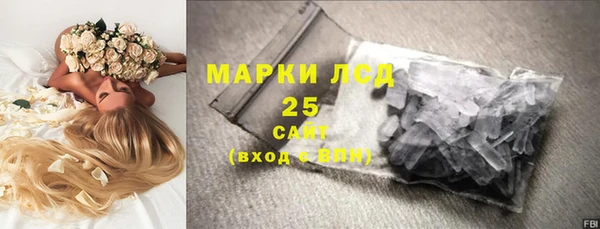 твердый Ладушкин