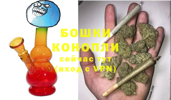 твердый Ладушкин